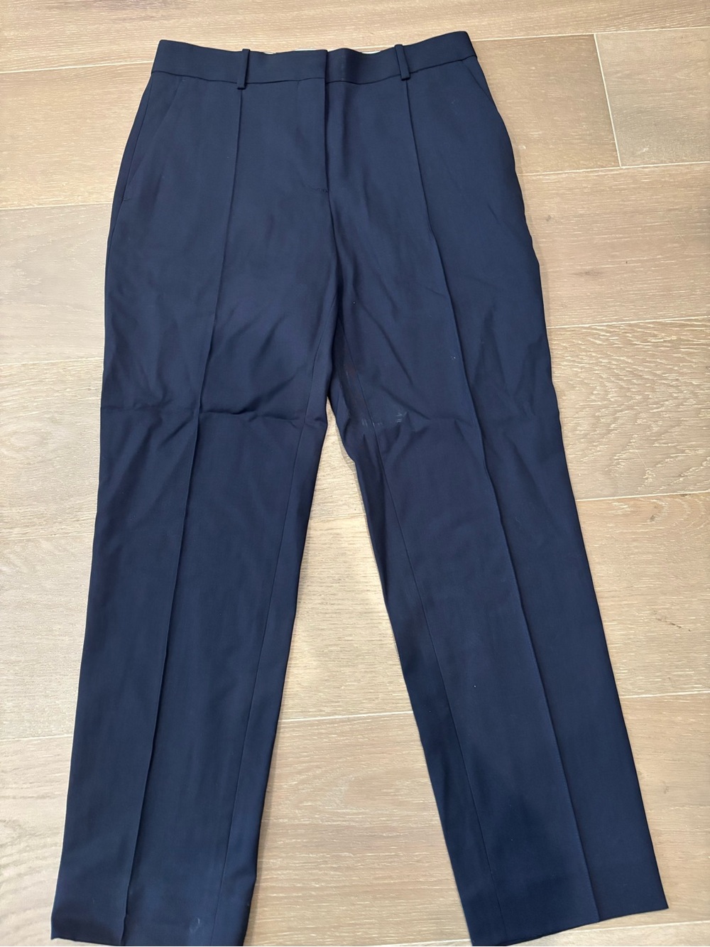 Everlane Navy Tailored Dress Pants